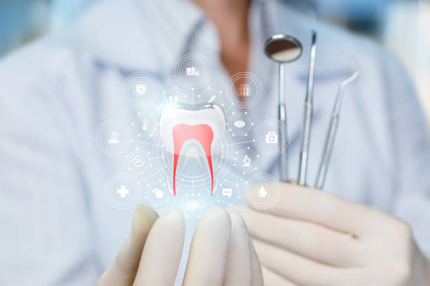 Professional Holistic Dental Care Services in Wapello, IA